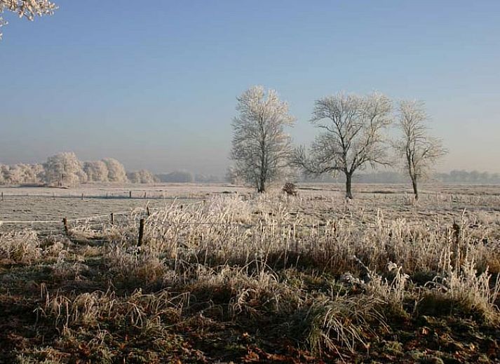 Ferienhaus in Balkbrug in winterlicher Umgebung, gelegen in der Region Vecht, Overijssel. Geniessen Sie einen erholsamen Urlaub in diesem stimmungsvollen Ferienhaus.