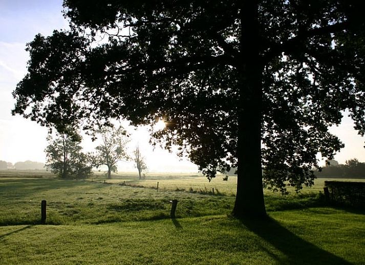Schnee bedeckt die Terrasse des Ferienhauses in Balkbrug, ein stimmungsvolles Ferienhaus in der winterlichen Natur der Region Vecht, Overijssel.