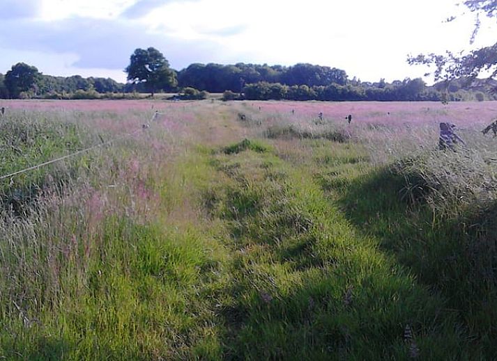 Schnee bedeckt die Terrasse des Ferienhauses in Balkbrug, ein stimmungsvolles Ferienhaus in der winterlichen Natur der Region Vecht, Overijssel.
