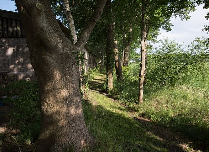 Unterkunft 540841 - Ferienhaus Vechtstreek - Huisje in Balkbrug