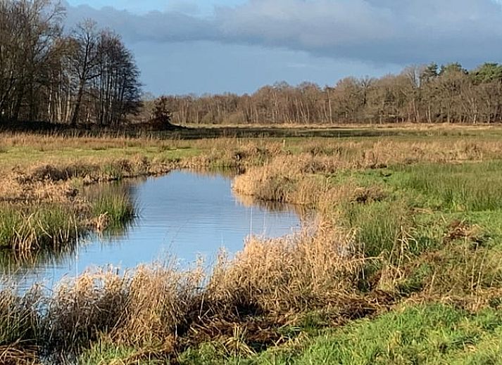 Unterkunft 540841 - Ferienhaus Vechtstreek - Huisje in Balkbrug