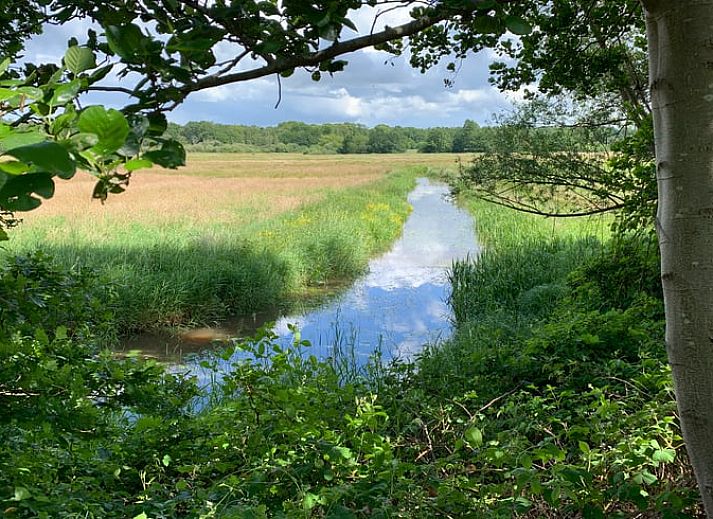 Unterkunft 540841 - Ferienhaus Vechtstreek - Huisje in Balkbrug