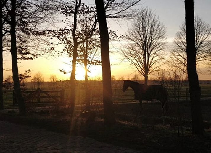 Unterkunft 540841 - Ferienhaus Vechtstreek - Huisje in Balkbrug