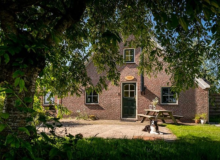 Ontspannen bij het Vakantiehuisje in Balkbrug, Vechtstreek, met zonnig terras en groene omgeving in Overijssel.