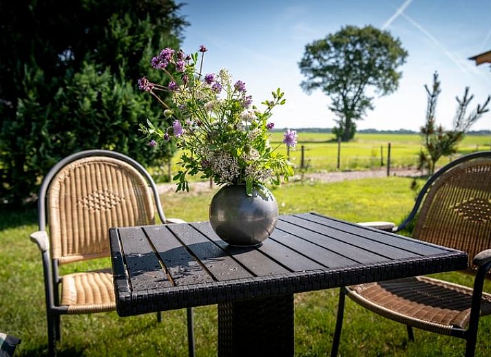Ontspannen bij het Vakantiehuisje in Balkbrug, Vechtstreek, met zonnig terras en groene omgeving in Overijssel.