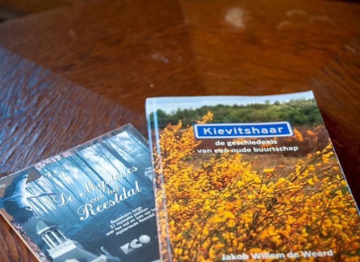 Geniet van de rust op het terras van Vakantiehuisje in Balkbrug, Vechtstreek, met uitzicht op de groene natuur in Overijssel.