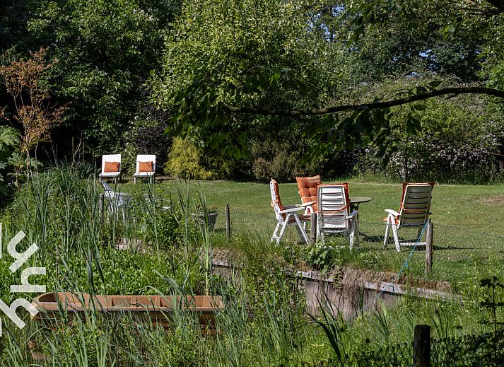 Aerial view of OV188 vacation home in Balkbrug, Vecht region, shows an idyllic pond surrounded by greenery.