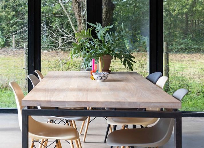 Zonnig terras bij Huisje in Balkbrug vakantiehuis in Vechtstreek