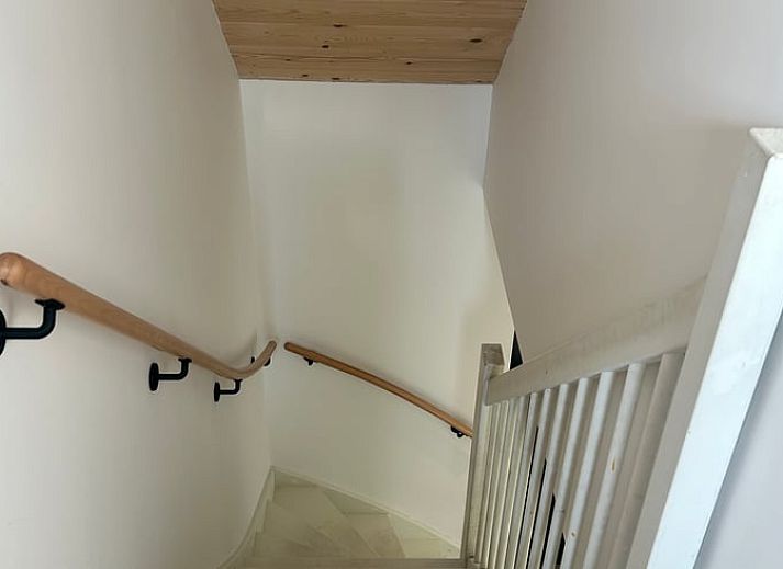 Uitgestrekte grasvelden rondom Huisje in Balkbrug, Overijssel