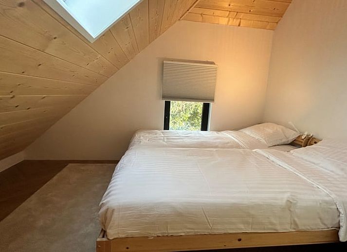 Uitgestrekte grasvelden rondom Huisje in Balkbrug, Overijssel