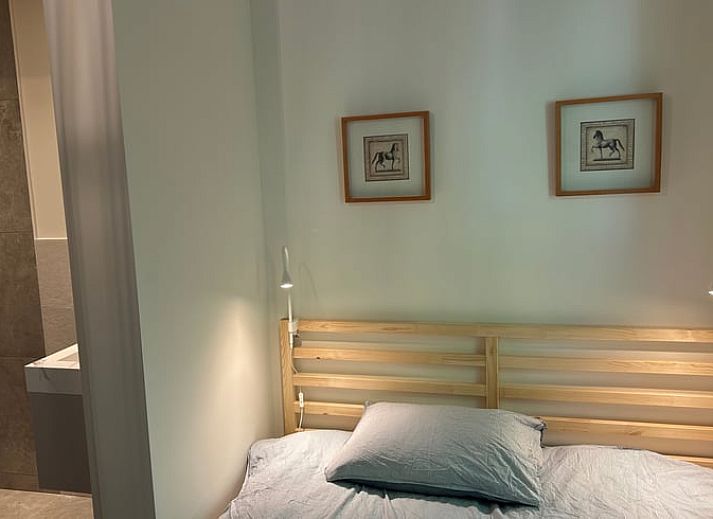 Huisje in Balkbrug vakantiehuis met tuin en hangmat in Overijssel