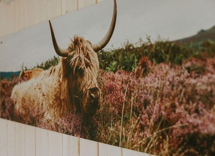 Unterkunft 540865 - Ferienhaus Vechtstreek - Tiny house XL