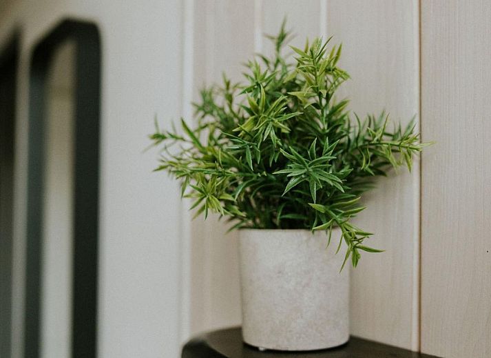 Unterkunft 540865 - Ferienhaus Vechtstreek - Tiny house XL