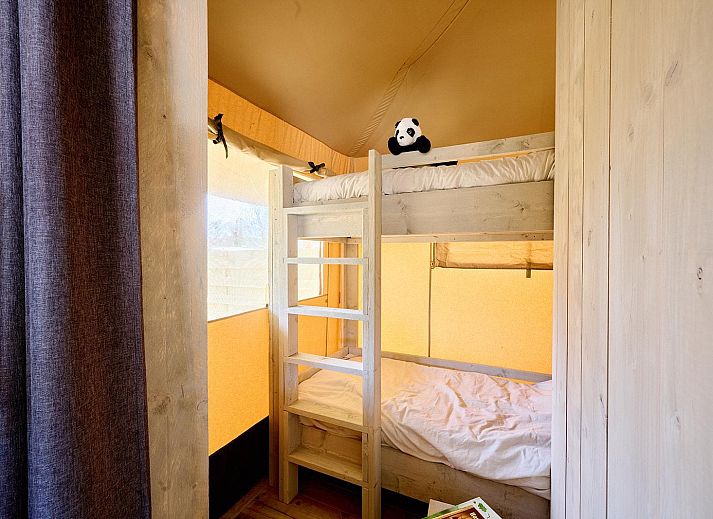 Unterkunft 540866 - Zelthaus Vechtstreek - Safaritent