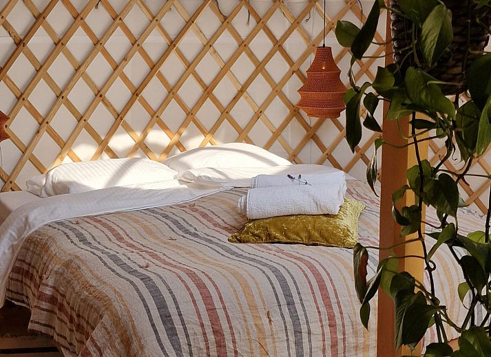 Unterkunft 540869 - Zelthaus Vechtstreek - Mongoolse Yurt