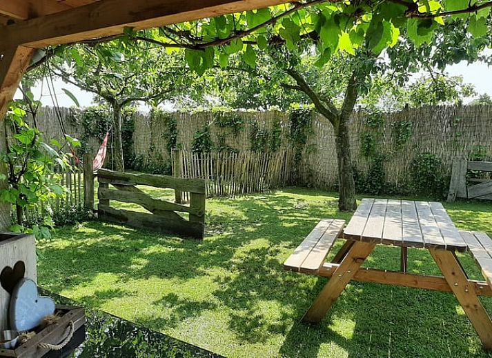 Ruime woonkamer van Vakantiehuis in Balkbrug, ideaal voor ontspanning.