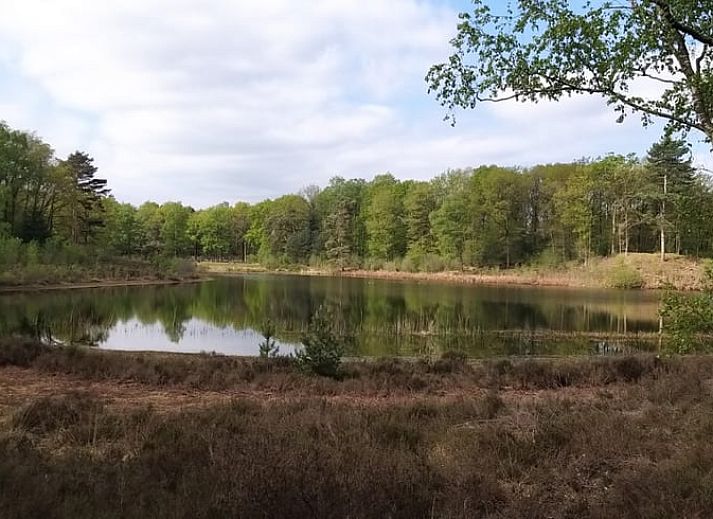Comfortabele zithoek in Vakantiehuis in Balkbrug, perfect voor rust.
