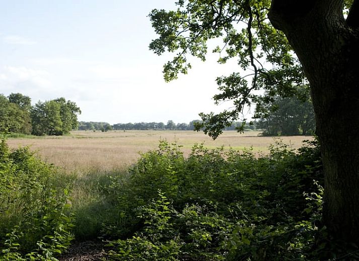 Eethoek met uitzicht in Vakantiehuis in Balkbrug, Vechtstreek, Overijssel.