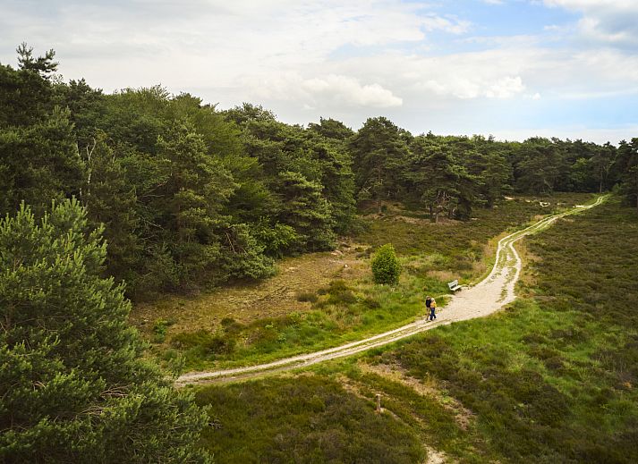 Verblijf 540878 - Vakantiewoning Vechtstreek - Barn
