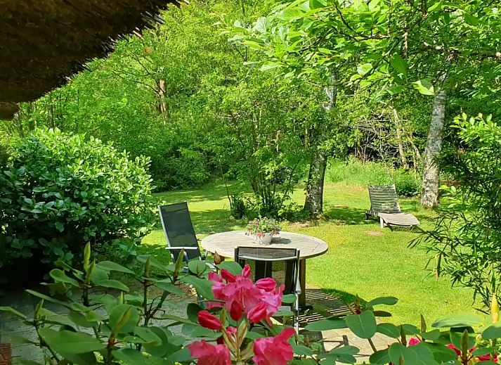 Guest house 540882 - Holiday property Vechtstreek - Vakantiehuisje Reestdal