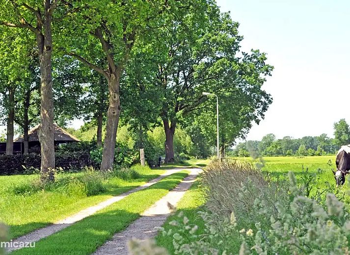 Unterkunft 540883 - Ferienhaus Vechtstreek - Hutje aan de Wei