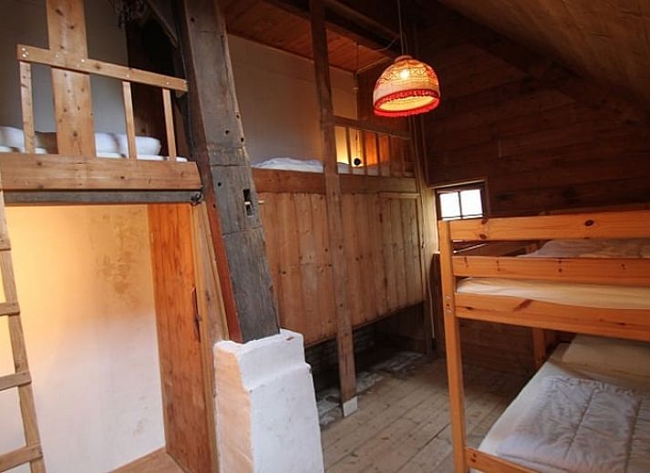 Schommels in de tuin van Vakantiehuis in Lemele, Archem, omgeven door natuur, Overijssel.