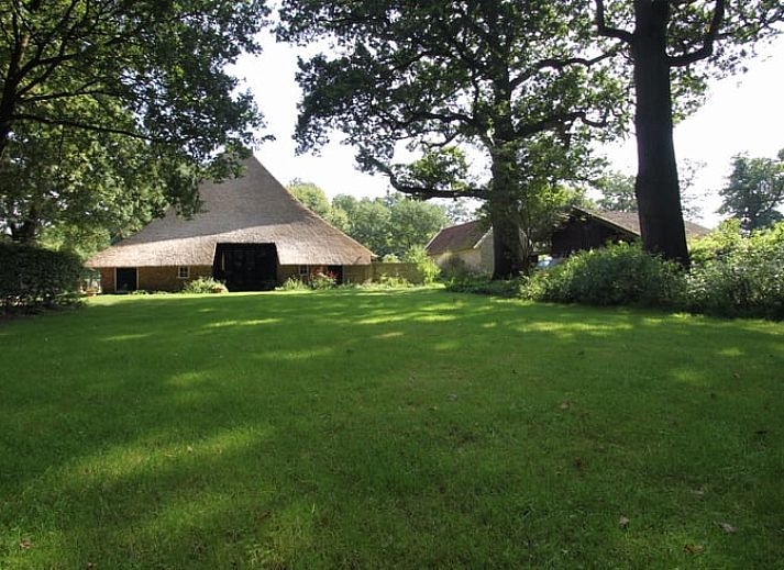 Schommels in de tuin van Vakantiehuis in Lemele, Archem, omgeven door natuur, Overijssel.