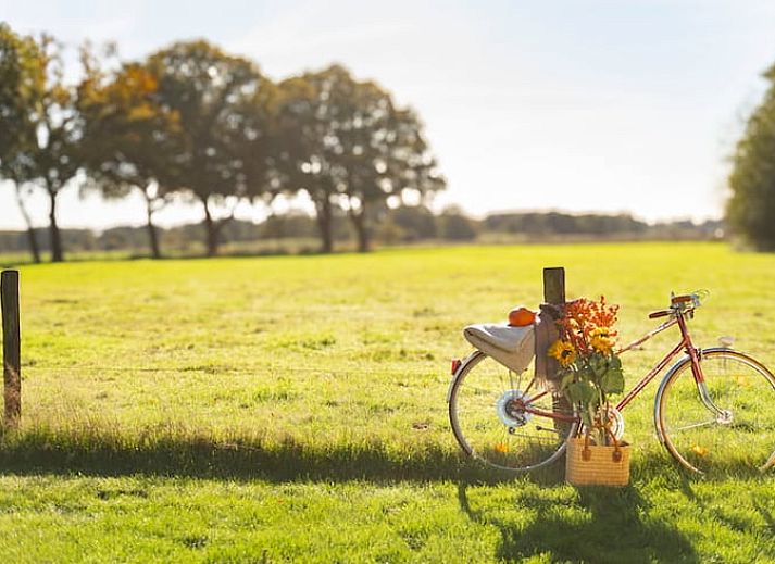 Gemuetliches Wohnzimmer von Huisje in Rheeze, Ferienhaus in der Region Vecht in Overijssel, mit Holzbalken und modernen Moebeln.