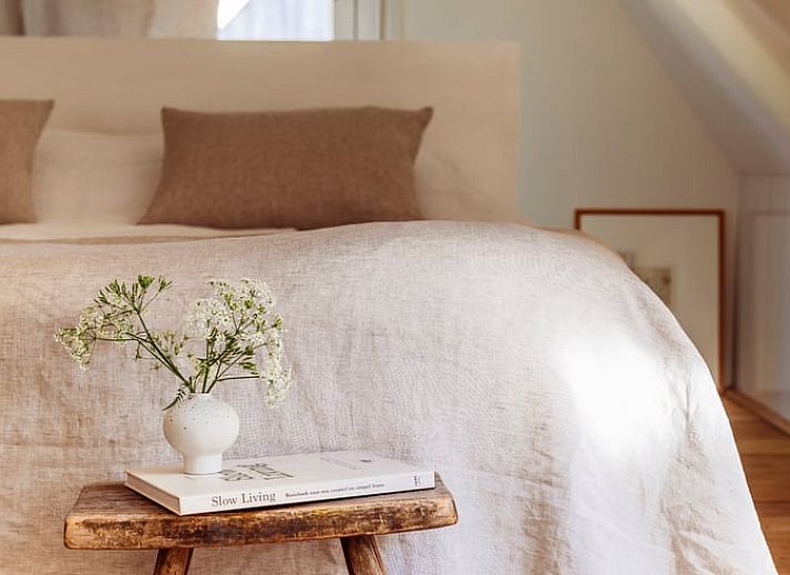 Traditionelles Reetdachhaus in Rheeze, Ferienhaus in der Region Vecht in Overijssel, ideal fuer einen entspannten Aufenthalt.