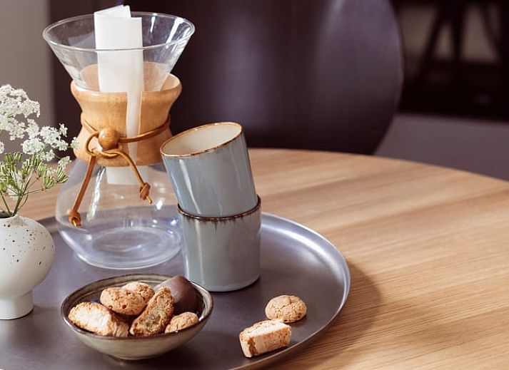 Traditionelles Reetdachhaus in Rheeze, Ferienhaus in der Region Vecht in Overijssel, ideal fuer einen entspannten Aufenthalt.