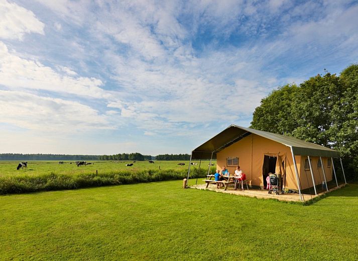 Guest house 541103 • Tent house Vechtstreek • Safaritent