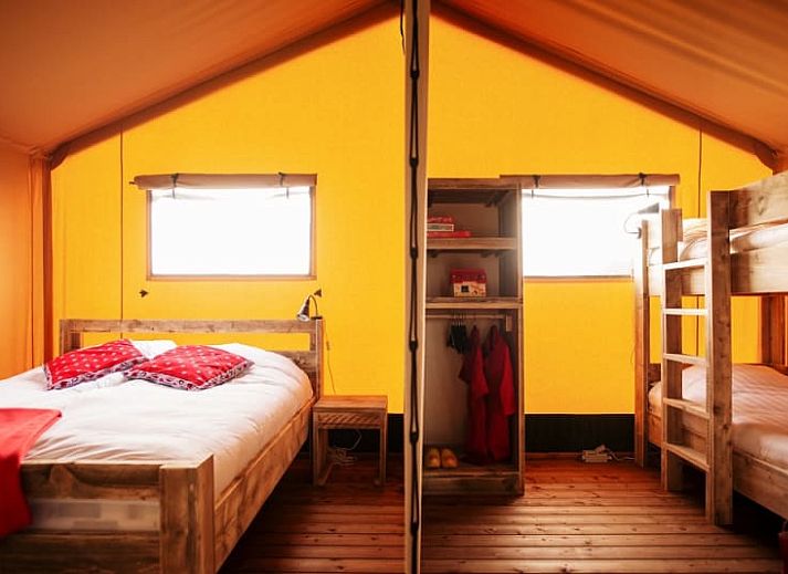 Safaritent in Rheeze, Vechtstreek met uitzicht op groene velden en koeien, ideaal voor glamping in Overijssel.