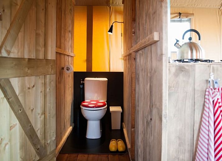 Safaritent in Rheeze, Vechtstreek met uitzicht op groene velden en koeien, ideaal voor glamping in Overijssel.