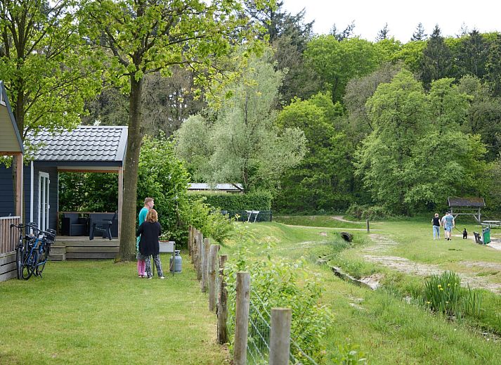 Unterkunft 541115 - Ferienhaus Vechtstreek - Strandchalet