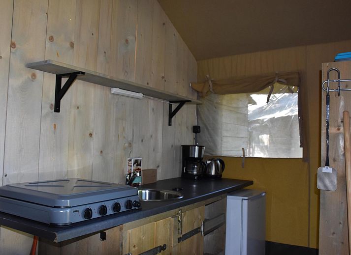 Guest house 541124 - Tent house Vechtstreek - Comfort safaritent