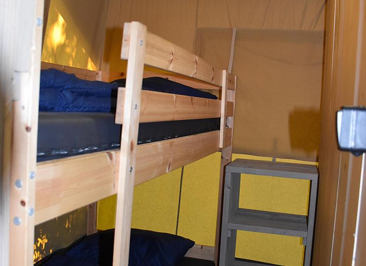 Guest house 541124 - Tent house Vechtstreek - Comfort safaritent