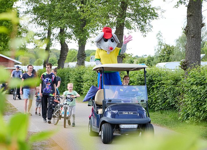 Guest house 541124 - Tent house Vechtstreek - Comfort safaritent