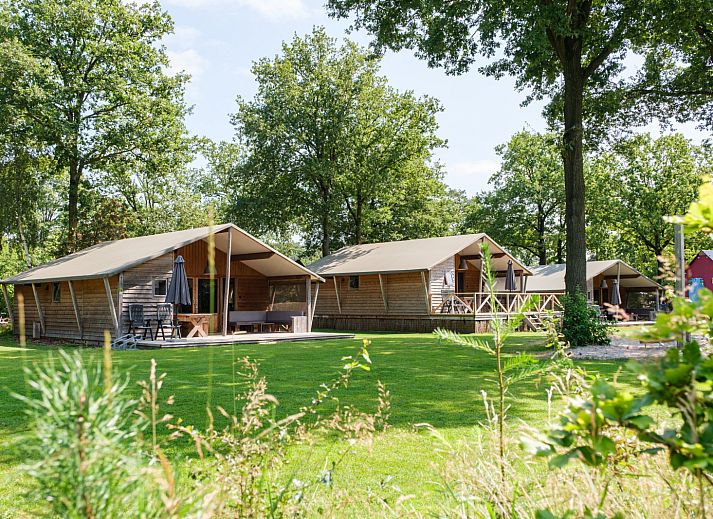 Unterkunft 541125 - Ferienhaus Vechtstreek - Rheezerlodge DeLuxe laag