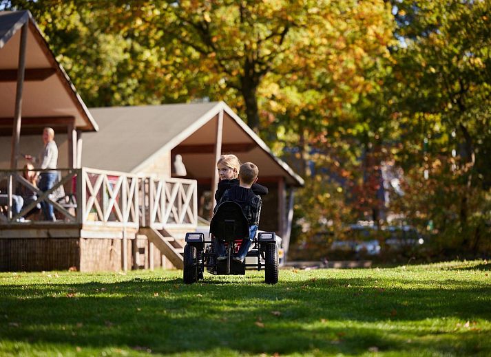 Unterkunft 541125 - Ferienhaus Vechtstreek - Rheezerlodge DeLuxe laag