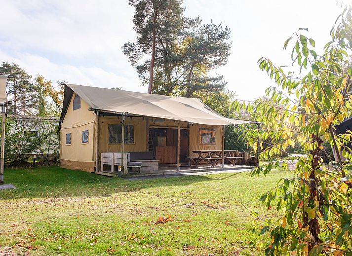 Guest house 541127 - Tent house Vechtstreek - Verandalodge