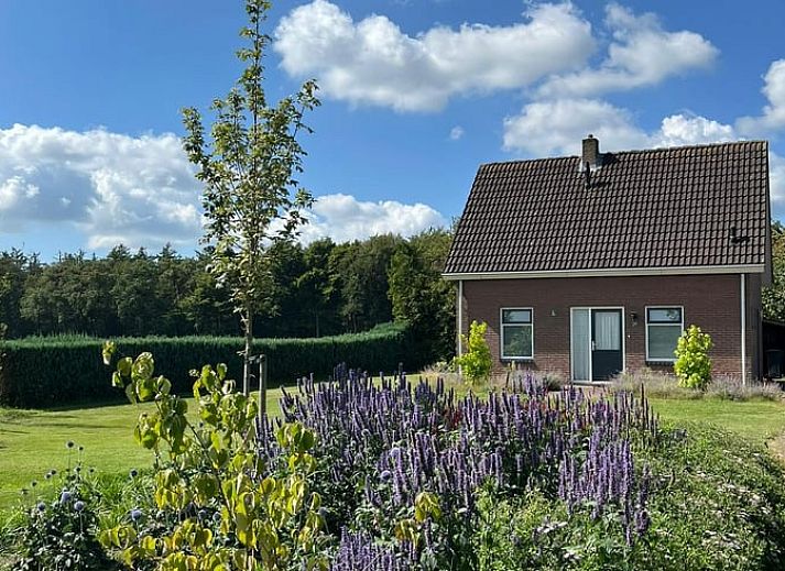 Ferienhaus in Rheezerveen mit Blumen und gruener Umgebung in der Region Vecht, Overijssel.