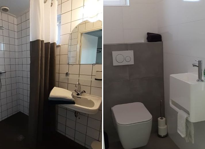 Ferienhaus in Rheezerveen mit Blumen und gruener Umgebung in der Region Vecht, Overijssel.