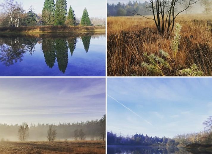 Gemuetliches Wohnzimmer des Ferienhauses in Rheezerveen mit bequemen Sofas, Vechtstreek, Overijssel.