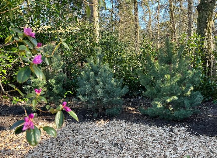 Welkomspakket bij aankomst in Vakantiehuisje in Rheezerveen, Vechtstreek, Overijssel.