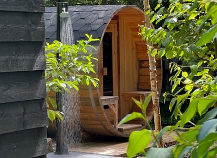 Aussenansicht des Ferienhauses in Rheezerveen, umgeben von Waeldern in der Region Vecht, Overijssel.