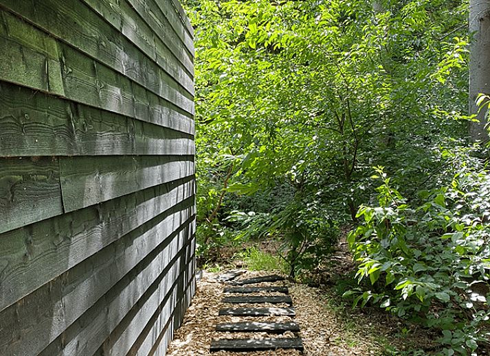 Terrasse des Ferienhauses in Rheezerveen, ideal fuer Entspannung in der Region Vecht, Overijssel.