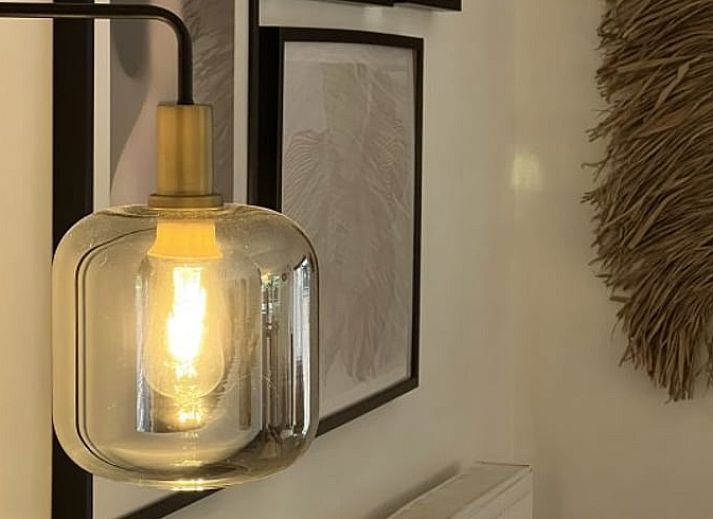 Gezellige binnenruimte van Huisje in Rheezerveen met planten en decoratie, Vechtstreek, Overijssel.