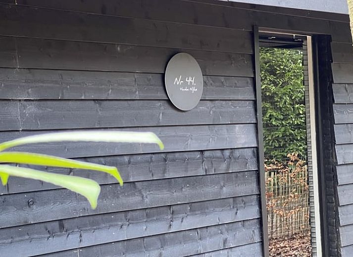 Gezellige binnenruimte van Huisje in Rheezerveen met planten en decoratie, Vechtstreek, Overijssel.