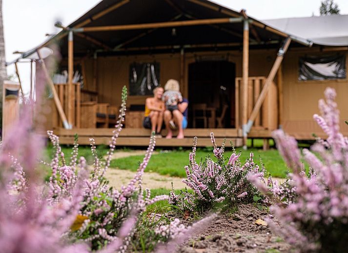 Verblijf 541231 • Tenthuis Vechtstreek • GlampCamp Safaritent