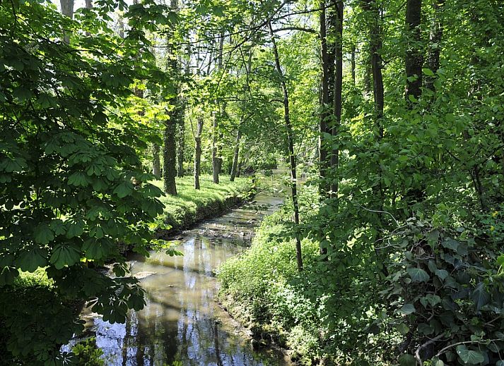 Unterkunft 541231 - Ferienhaus Vechtstreek - OV653